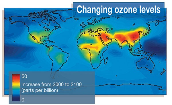 Ozone harms East Asian crops, costing $63 bln a year, scientists say