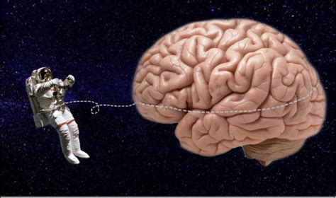 Scientists document how space travel messes with the human brain