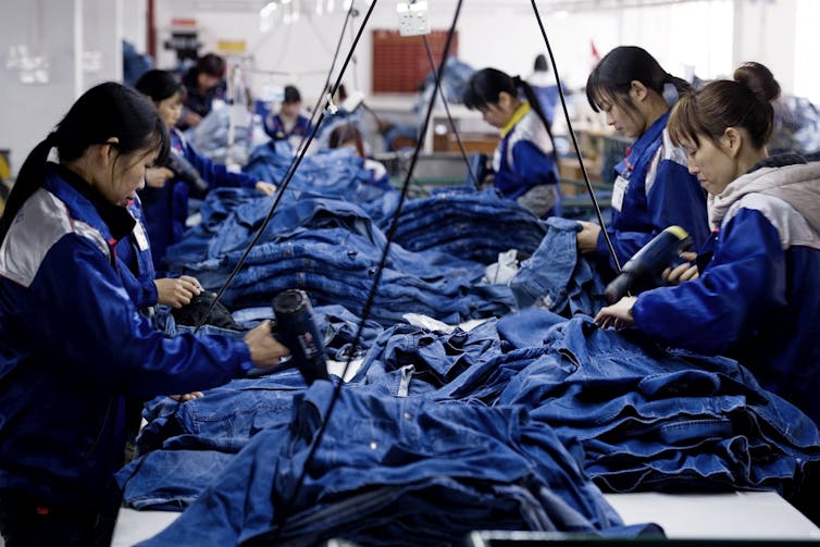 Workers hold driers with a table piled with dark blue jeans.