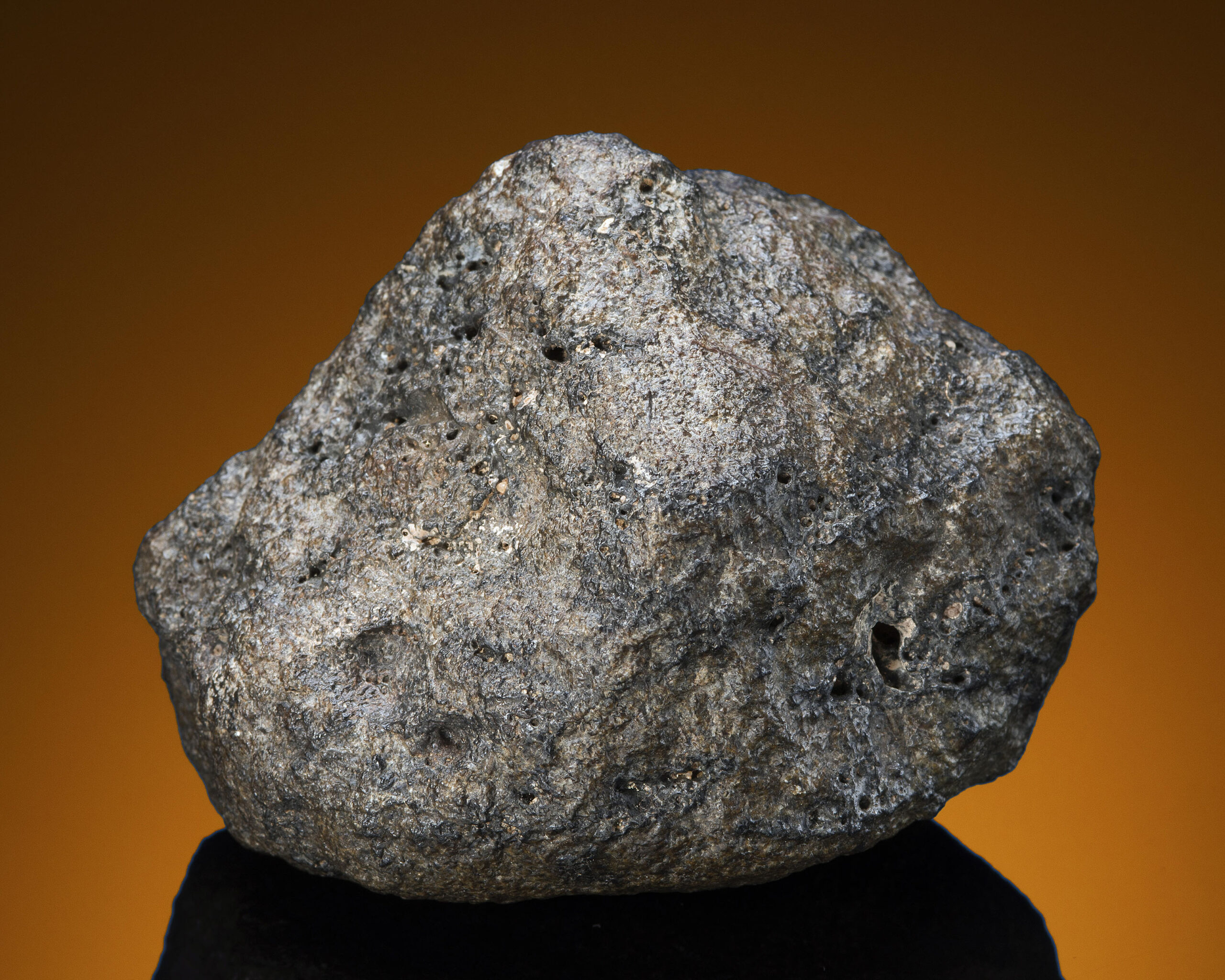 Mars rock found in Niger sells for millions in New York
